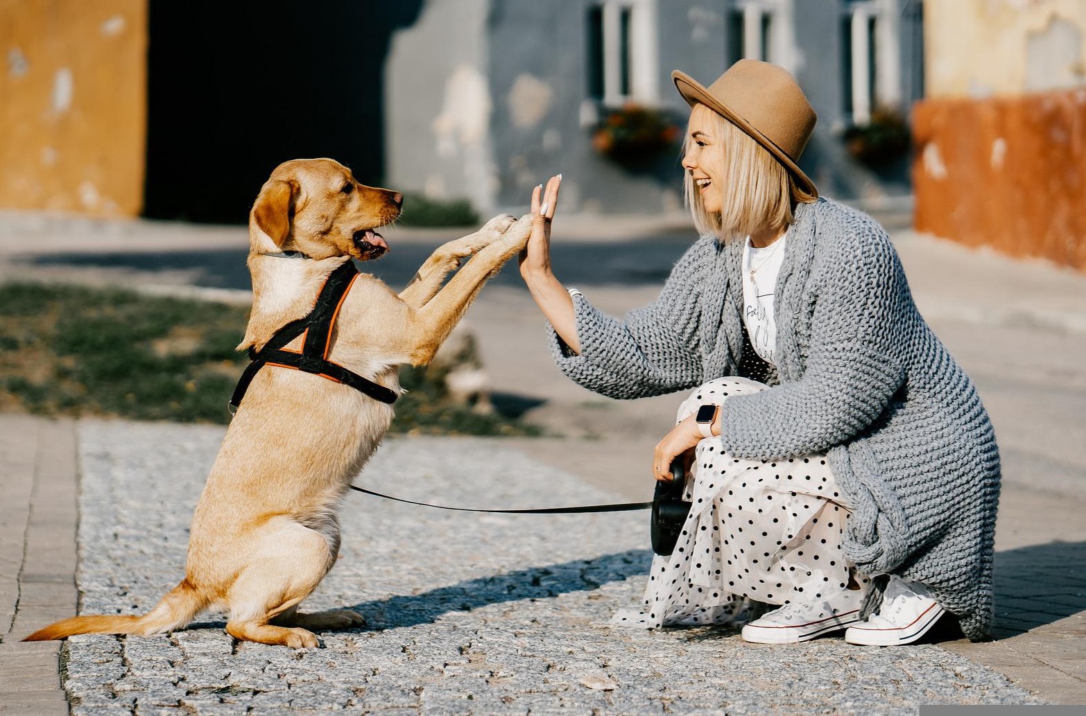 High5